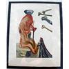 Image 1 : DALI RARE "THE FLATTERER" WOODCUT