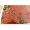 Image 3 : "House Among The Poppies" Borelli