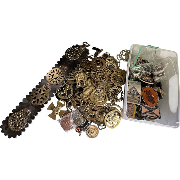 Group of Various Belt Buckles & Leather Display Strap