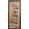 Image 4 : Pair of Framed Siamese Cat Prints Signed C. Counter