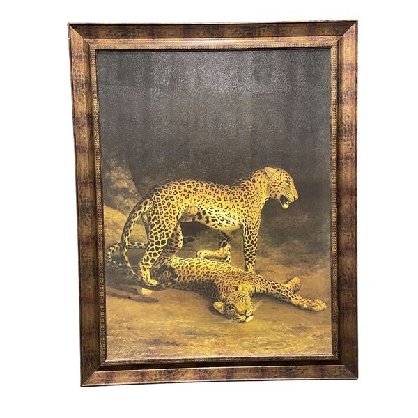 Vancouver - Framed Print of Leopards by Unknown Artist, H55.5" x W43.5"