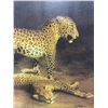 Image 2 : Vancouver - Framed Print of Leopards by Unknown Artist, H55.5" x W43.5"