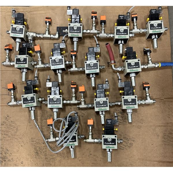 Lot of Numatics #S32C-04BKL Flexi Blok Slow Start Valves