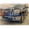 Image 2 : PARKSVILLE - 2009 FORD F-150 BLUE 241521 KMS - BB07248