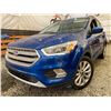 Image 1 : PARKSVILLE - 2019 FORD ESCAPE BLUE 211848 KMS - DB71566