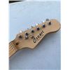 Image 4 : 610 -- GUITAR AND HERO