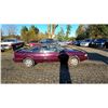 Image 8 : DUNCAN - 1994 PONTIAC SUNBIRD PURPLE  122139 KMS - D824720