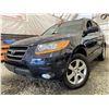 Image 1 : PARKSVILLE - 2009 HYUNDAI SANTA FE BLUE 321833 KMS - D292261