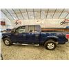 Image 23 : PARKSVILLE - 2009 FORD F-150 BLUE 241521 KMS - BB07248