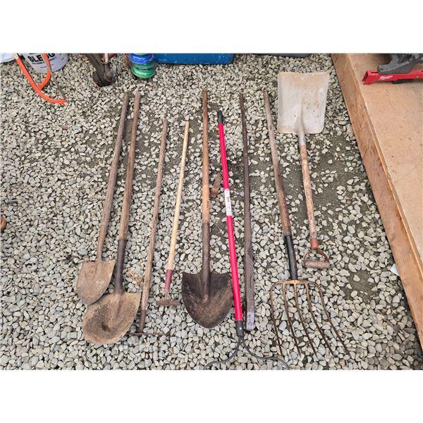624 -- LOT OF SHOVELS, RAKES AND PRY BAR