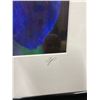Image 2 : FRAMED PHOTOGRAPH OF IRIS RETICULATA, COMMONLY KNOWN AS THE DWARF IRIS