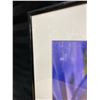Image 3 : FRAMED PHOTOGRAPH OF IRIS RETICULATA, COMMONLY KNOWN AS THE DWARF IRIS