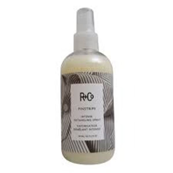 8.5 OZ R+CO PINSTRIPE INTENSE DETANGING SPRAY