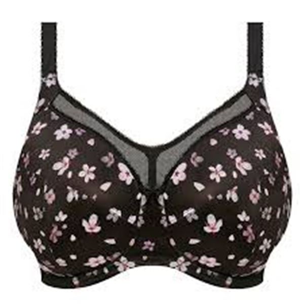 NEW GODDESS KAYLA 36N BRA