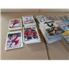 Image 2 : lot of misc. Hockey Cards