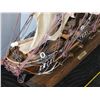 Image 5 : Large detailed Frigata Siglo XVIII model ship. Wood, cloth sails & cord. 20+” tall, 26+[x=#