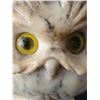 Image 4 : Hand carved alabaster owl. Made in Italy.