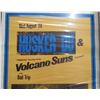 Image 2 : Volcano Suns Concert Poster