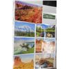 Image 3 : 7 in 1 Natural North American Jigsaw Puzzles