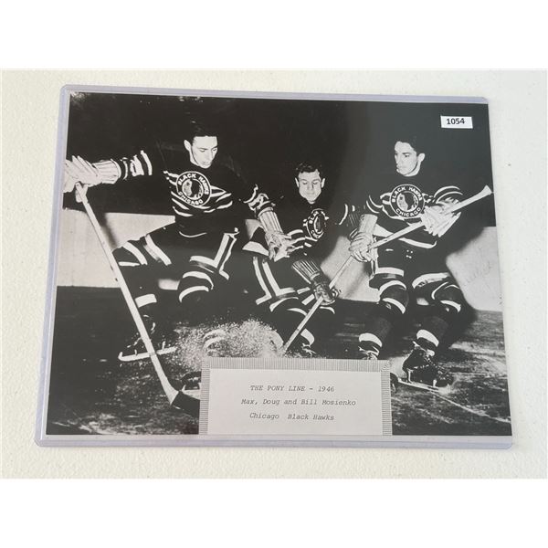 1946 - The Piny Line - Print