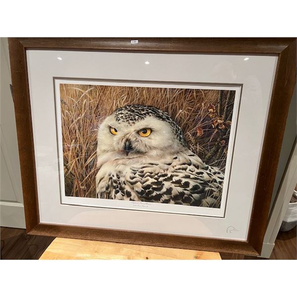 Ducks Unlimited Print “Optical Surveillance” – 27”x32”