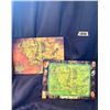Image 2 : Wall Art x2 Lord of the Rings maps