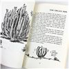 Image 11 : WHAT KINDA CACTUS IZZAT? CACTUS GUIDE - CARTOON