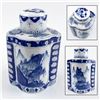 Image 1 : VTG BLUE & WHITE PORCELAIN GINGER JAR - TEA CADDY