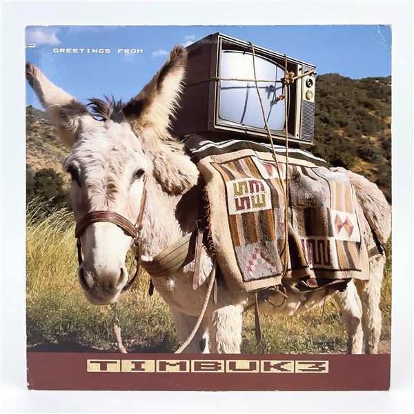 GREETINGS FROM TIMBUK 3 - VINYL LP RECORD ALBUM