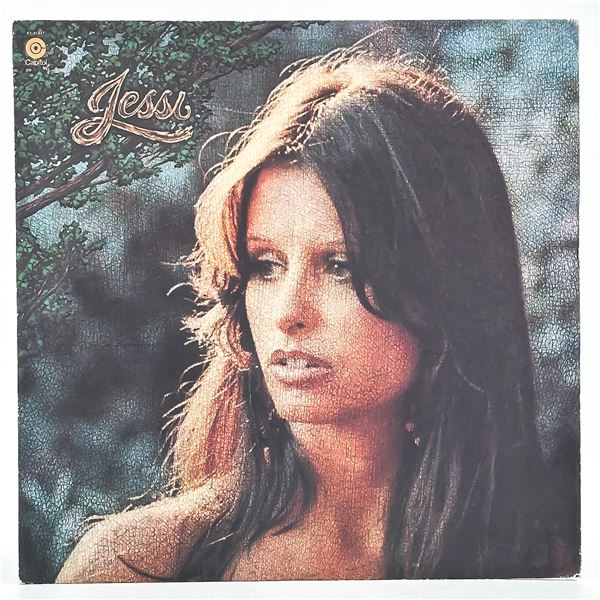 JESSI COLTER VINYL LP RECORD ALBUM TEXTURED COVER