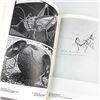 Image 10 : WORLD OF M. C. ESCHER - DUTCH ARTIST - ILLUSTRATOR