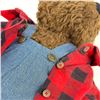 Image 5 : BOYDS BEARS COLLECTION PLUSH - GARY M BEARENTHAL