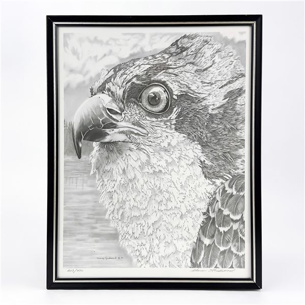 LTD. ED. PEREGRINE FALCON SHARON GIRDWOOD PRINT