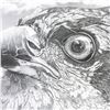 Image 3 : LTD. ED. PEREGRINE FALCON SHARON GIRDWOOD PRINT