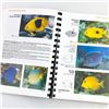 Image 10 : REEF FISH - FLORIDA CARIBBEAN BAHAMAS - REF. BOOK