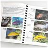 Image 13 : REEF FISH - FLORIDA CARIBBEAN BAHAMAS - REF. BOOK