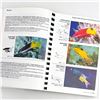 Image 14 : REEF FISH - FLORIDA CARIBBEAN BAHAMAS - REF. BOOK