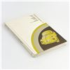 Image 4 : CHILTON’S VOLKSWAGEN 2 BEETLE GHIA REPAIR MANUAL