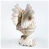 Image 2 : VINTAGE KITSCHY FOLK ART SEA SHELL OWL SCULPTURE