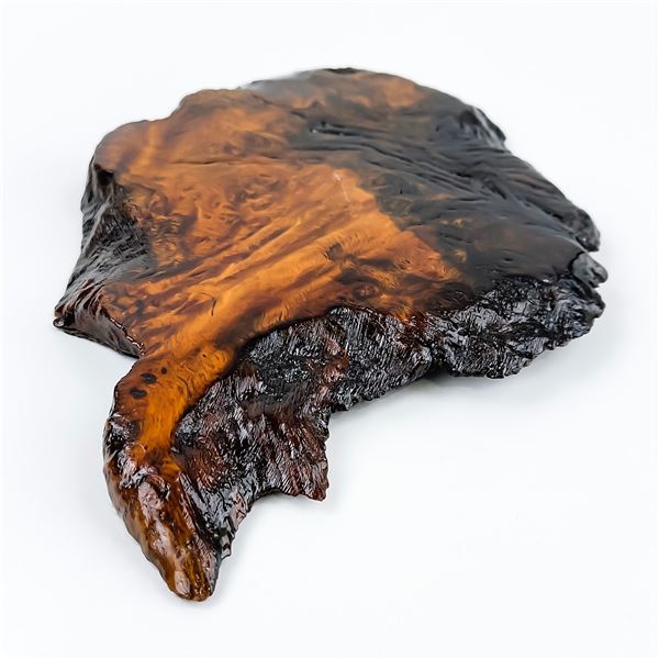 RESIN COATED WOOD BURL SCULPTURE BASE OR STAND