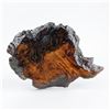 Image 2 : RESIN COATED WOOD BURL SCULPTURE BASE OR STAND