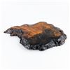 Image 4 : RESIN COATED WOOD BURL SCULPTURE BASE OR STAND