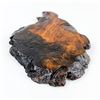 Image 5 : RESIN COATED WOOD BURL SCULPTURE BASE OR STAND