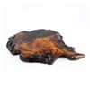 Image 6 : RESIN COATED WOOD BURL SCULPTURE BASE OR STAND