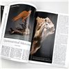 Image 5 : 10 ART OF THE WEST MAGAZINES FINE ART COLLECTOR