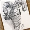 Image 2 : VTG ’83 ORIGINAL BIGHORN SHEEP PENCIL ILLUSTRATION