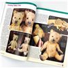 Image 14 : 8 - VARIOUS TEDDY BEAR MAGAZINES & BEAR BOOK LOT