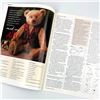 Image 15 : 8 - VARIOUS TEDDY BEAR MAGAZINES & BEAR BOOK LOT