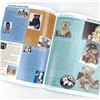 Image 16 : 8 - VARIOUS TEDDY BEAR MAGAZINES & BEAR BOOK LOT