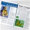 Image 18 : 16 - UK TEDDY BEAR SCENE MAGAZINE LOT - ENGLAND